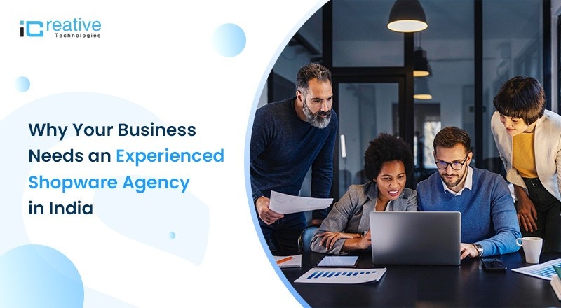 Why Your Business Needs an Experienced Shopware Agency