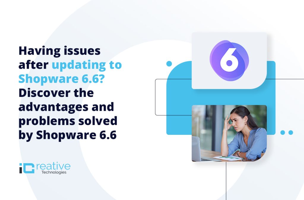 Problem after updating to Shopware 6.6